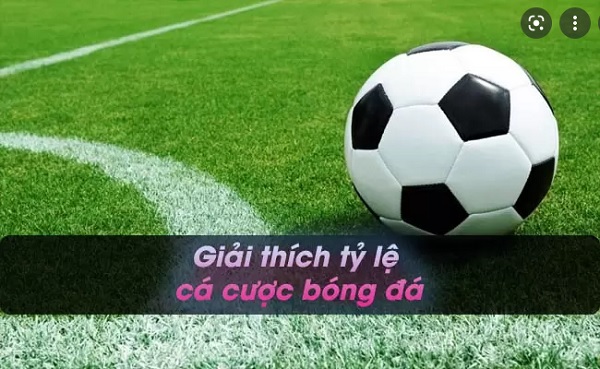 Giải thích tỷ lệ cá cược bóng đá